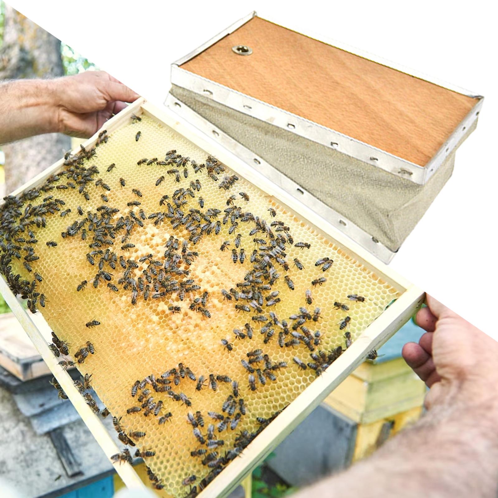 Bee Smoker Bellows Beekeeping  - Bee Smoker Tool 评论和价格
